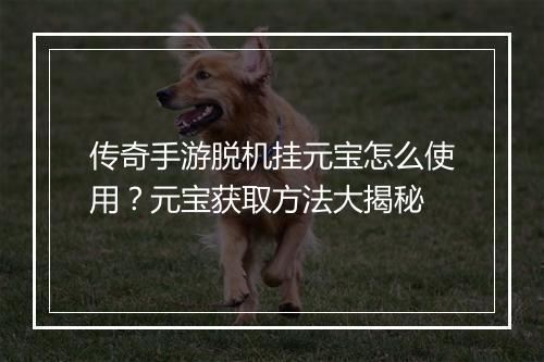 传奇手游脱机挂元宝怎么使用？元宝获取方法大揭秘