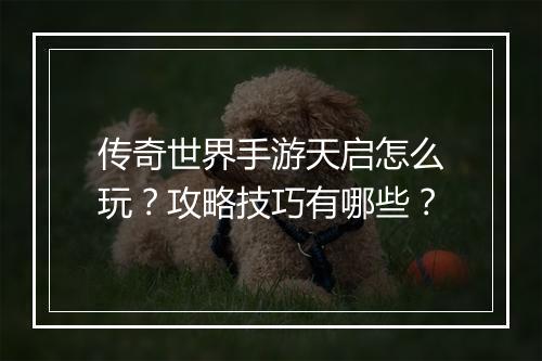 传奇世界手游天启怎么玩？攻略技巧有哪些？