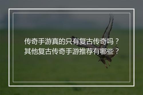 传奇手游真的只有复古传奇吗？其他复古传奇手游推荐有哪些？