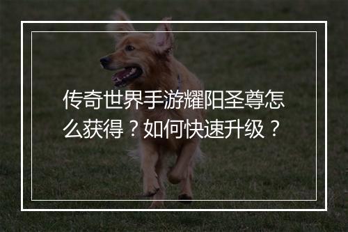 传奇世界手游耀阳圣尊怎么获得？如何快速升级？
