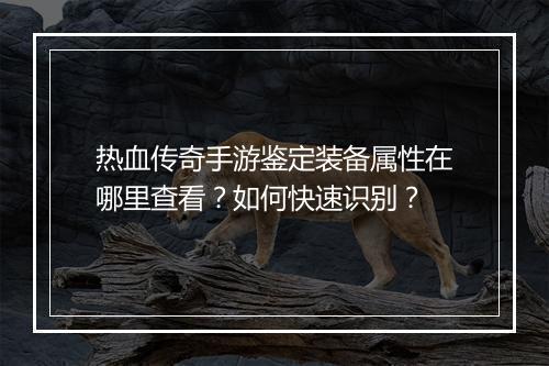 热血传奇手游鉴定装备属性在哪里查看？如何快速识别？