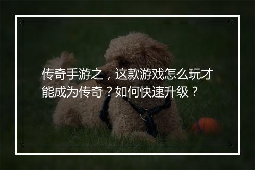 传奇手游之，这款游戏怎么玩才能成为传奇？如何快速升级？