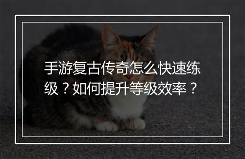 手游复古传奇怎么快速练级？如何提升等级效率？