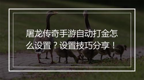 屠龙传奇手游自动打金怎么设置？设置技巧分享！