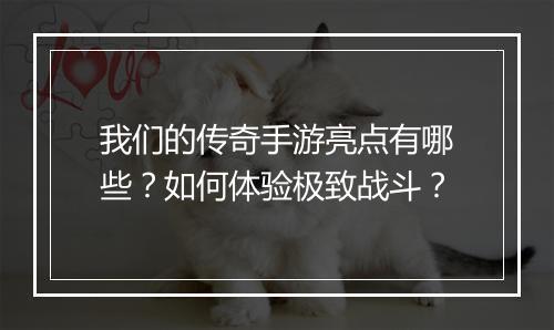 我们的传奇手游亮点有哪些？如何体验极致战斗？