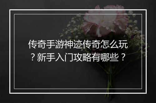 传奇手游神迹传奇怎么玩？新手入门攻略有哪些？