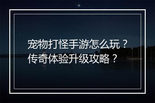 宠物打怪手游怎么玩？传奇体验升级攻略？