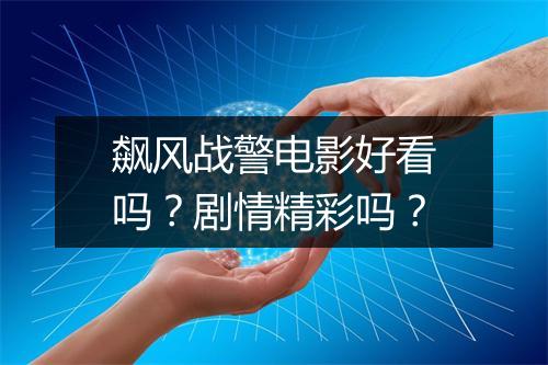 飙风战警电影好看吗？剧情精彩吗？