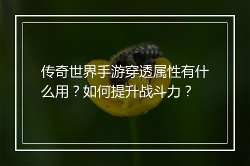 传奇世界手游穿透属性有什么用？如何提升战斗力？