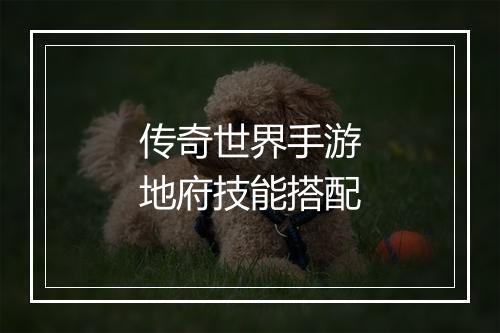 传奇世界手游地府技能搭配