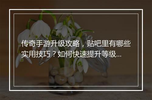 传奇手游升级攻略，贴吧里有哪些实用技巧？如何快速提升等级？