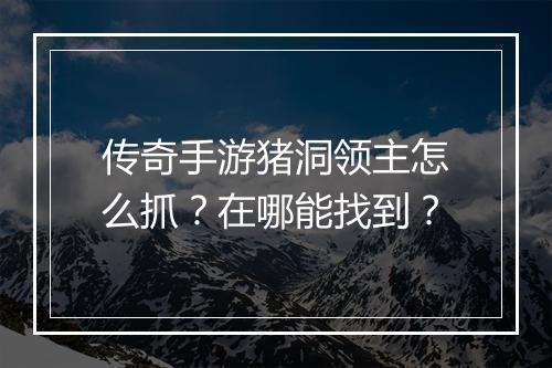 传奇手游猪洞领主怎么抓？在哪能找到？