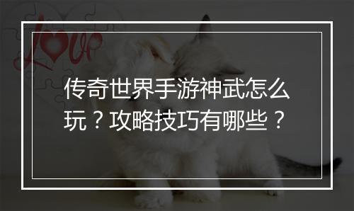 传奇世界手游神武怎么玩？攻略技巧有哪些？