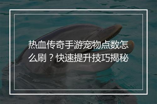 热血传奇手游宠物点数怎么刷？快速提升技巧揭秘