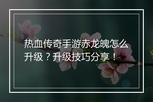 热血传奇手游赤龙魄怎么升级？升级技巧分享！