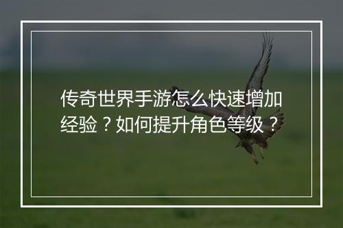传奇世界手游怎么快速增加经验？如何提升角色等级？