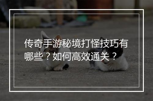 传奇手游秘境打怪技巧有哪些？如何高效通关？
