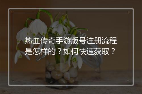 热血传奇手游版号注册流程是怎样的？如何快速获取？