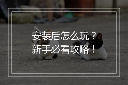安装后怎么玩？新手必看攻略！