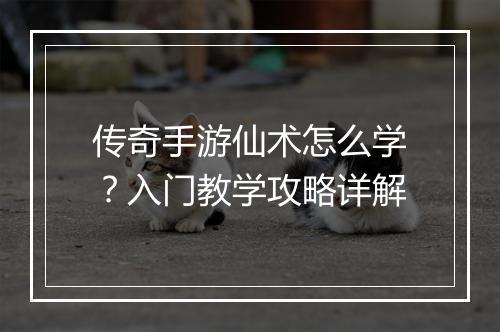 传奇手游仙术怎么学？入门教学攻略详解