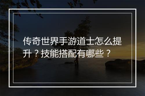 传奇世界手游道士怎么提升？技能搭配有哪些？