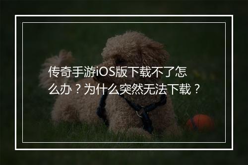 传奇手游iOS版下载不了怎么办？为什么突然无法下载？
