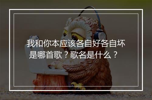我和你本应该各自好各自坏 是哪首歌？歌名是什么？