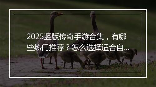 2025竖版传奇手游合集，有哪些热门推荐？怎么选择适合自己的？