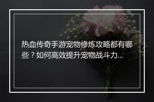 热血传奇手游宠物修炼攻略都有哪些？如何高效提升宠物战斗力？