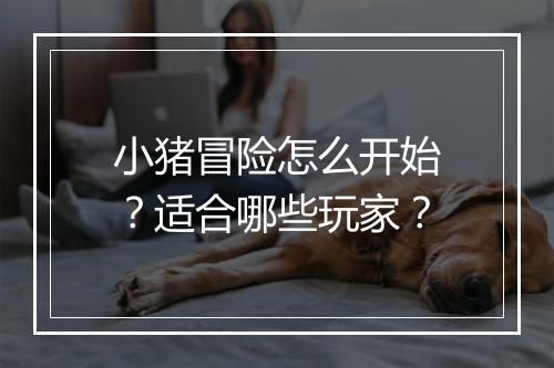 小猪冒险怎么开始？适合哪些玩家？