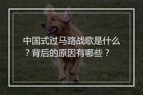 中国式过马路战歌是什么？背后的原因有哪些？