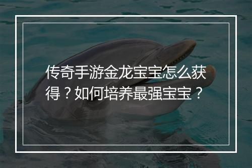 传奇手游金龙宝宝怎么获得？如何培养最强宝宝？