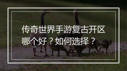 传奇世界手游复古开区哪个好？如何选择？