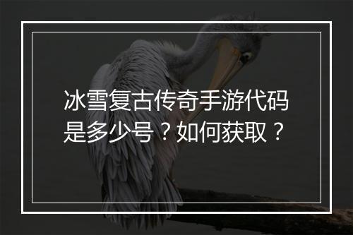 冰雪复古传奇手游代码是多少号？如何获取？