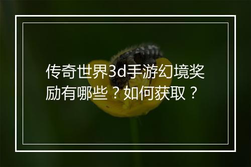传奇世界3d手游幻境奖励有哪些？如何获取？
