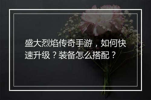 盛大烈焰传奇手游，如何快速升级？装备怎么搭配？