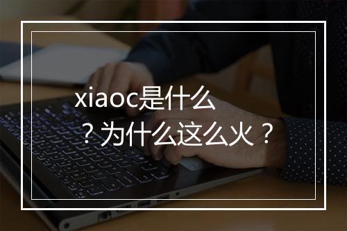 xiaoc是什么？为什么这么火？