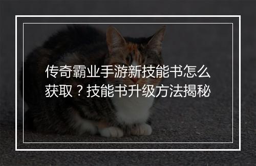 传奇霸业手游新技能书怎么获取？技能书升级方法揭秘