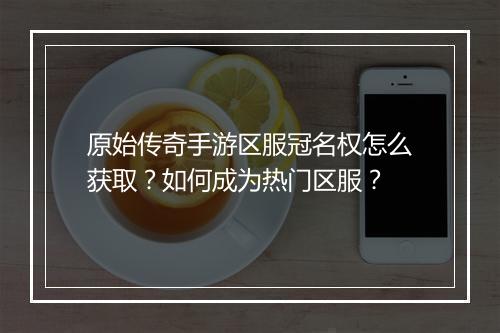 原始传奇手游区服冠名权怎么获取？如何成为热门区服？