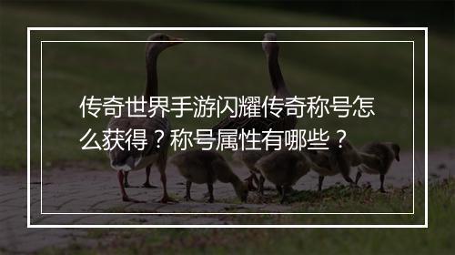 传奇世界手游闪耀传奇称号怎么获得？称号属性有哪些？