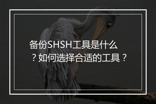 备份SHSH工具是什么？如何选择合适的工具？