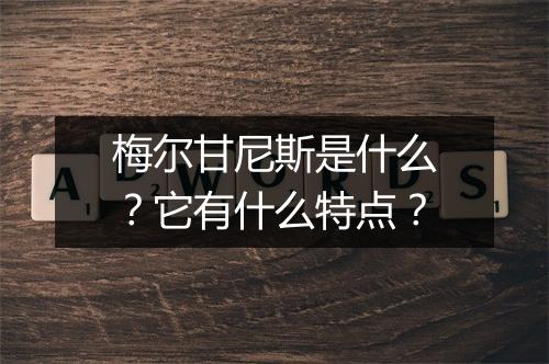 梅尔甘尼斯是什么?它有什么特点?