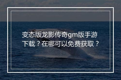 变态版龙影传奇gm版手游下载？在哪可以免费获取？