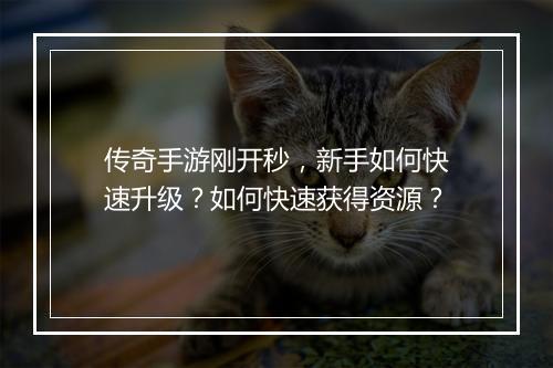 传奇手游刚开秒，新手如何快速升级？如何快速获得资源？