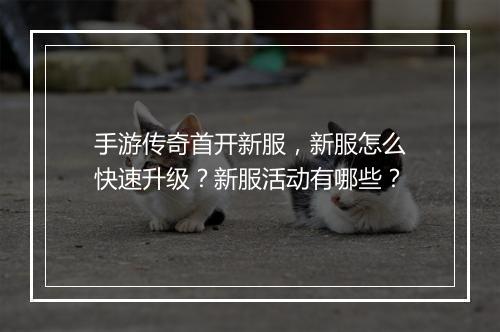 手游传奇首开新服，新服怎么快速升级？新服活动有哪些？