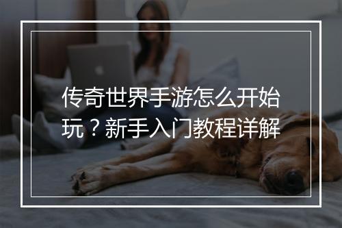 传奇世界手游怎么开始玩？新手入门教程详解