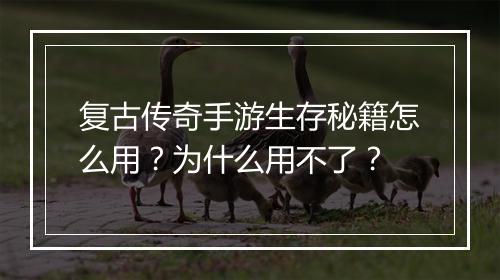 复古传奇手游生存秘籍怎么用？为什么用不了？