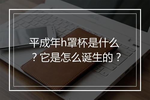 平成年h罩杯是什么？它是怎么诞生的？