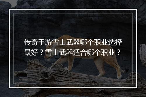 传奇手游雪山武器哪个职业选择最好？雪山武器适合哪个职业？