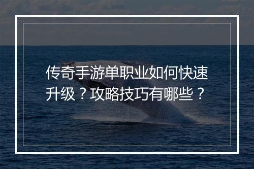 传奇手游单职业如何快速升级？攻略技巧有哪些？